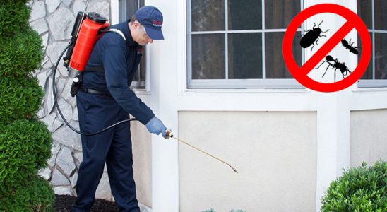 Tuzlukçu Karınca İlaçlama böcek ilaçlama ve haşere kontrolü — ilaclama-tr.com